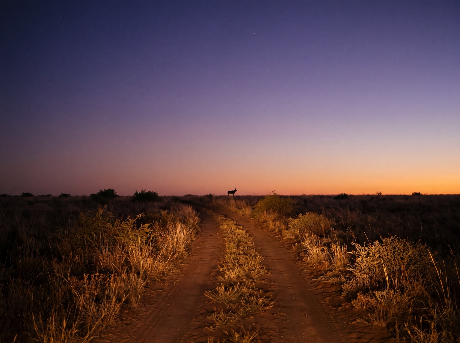 A dirt track crossing open African veld at dusk under a deep purple-blue sky as the first stars appear.